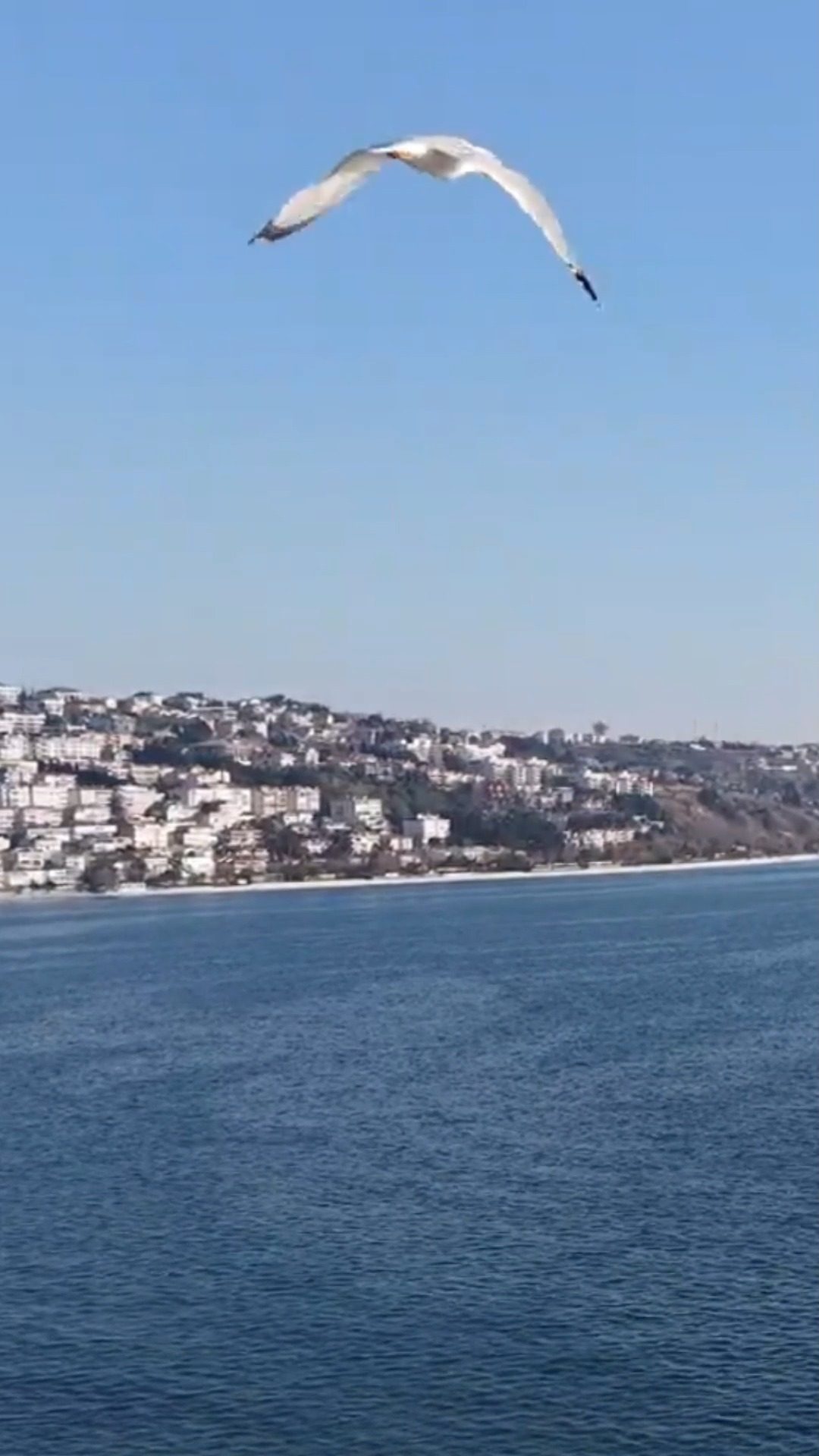 İstanbul Boğazı - dış çekim mekanı - Palswedding